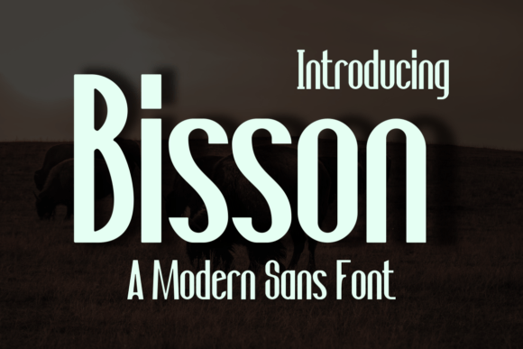 Bisson: A Bold, Authentic Sans Serif Display Font