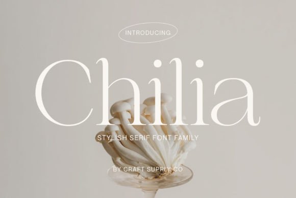 Chilia: A Serif Font That Elevates Handmade Charm