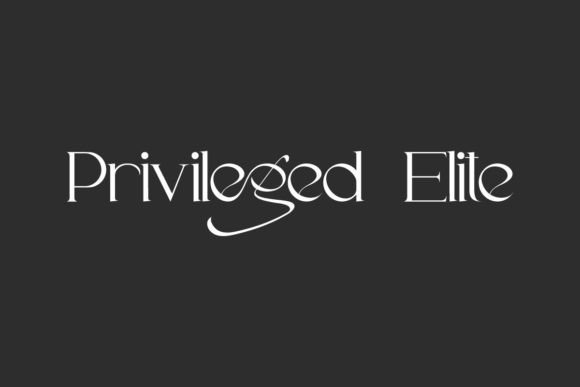 Privileged Elite Serif Font for Handmade Creators